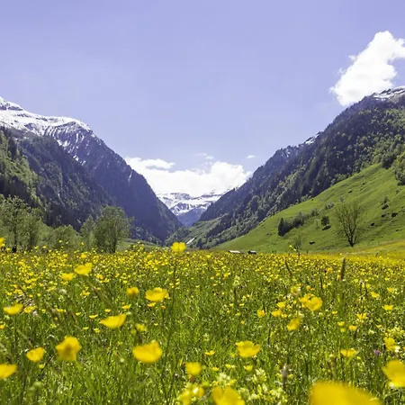 Hochalmbahnen 17w3, Edelweiss, Nahe Gondel * ラウリス