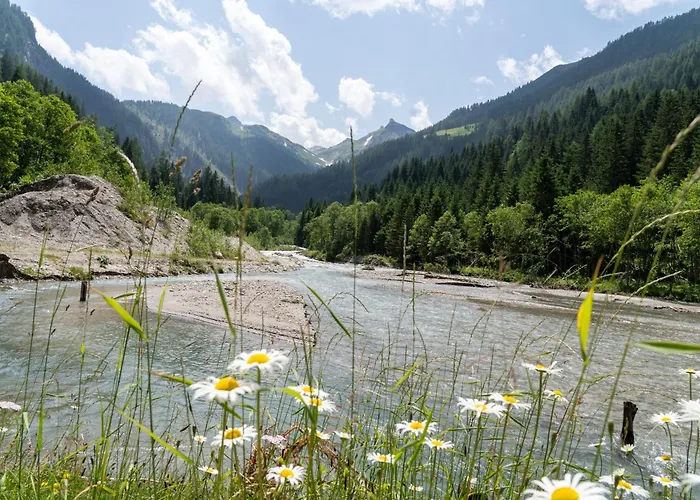 Hochalmbahnen 17w3, Edelweiss, Nahe Gondel アパート ラウリス