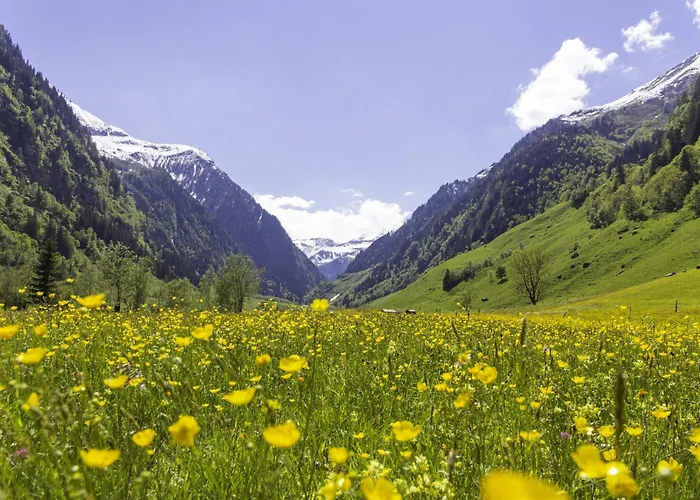 Hochalmbahnen 17w3, Edelweiss, Nahe Gondel * ラウリス